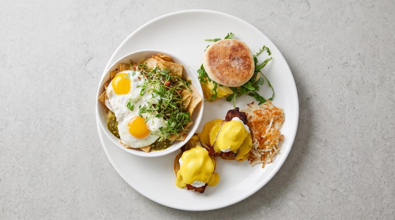 A white plate with chilaquiles, eggs Benedict, hash browns, and a breakfast sandwich.